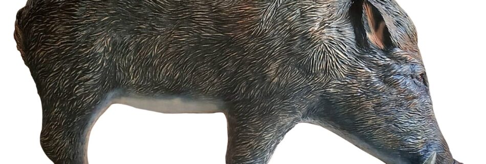 Kong 3D Targets Wild Boar Medium