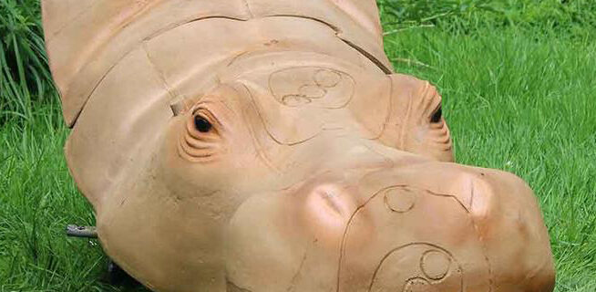 Kong 3D Targets Hippo Head